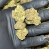 Black Runtz THCA