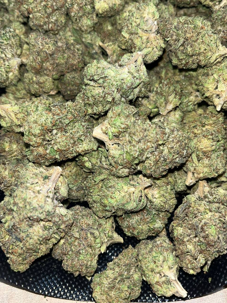 Buy Kombucha THCA