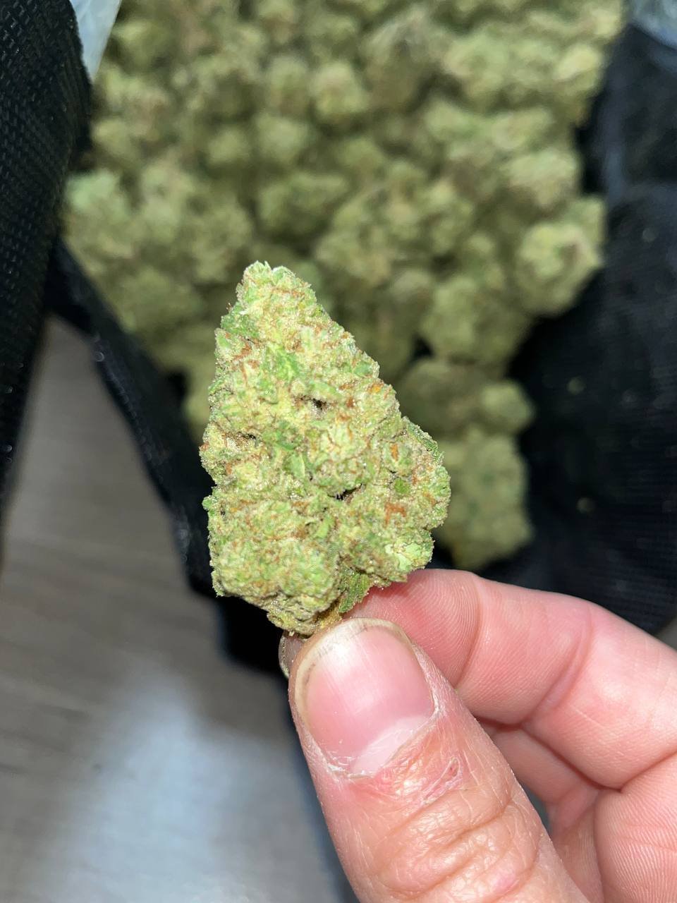 G41 Indoor THCA