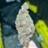 Gorilla Skunk Indoor THCA