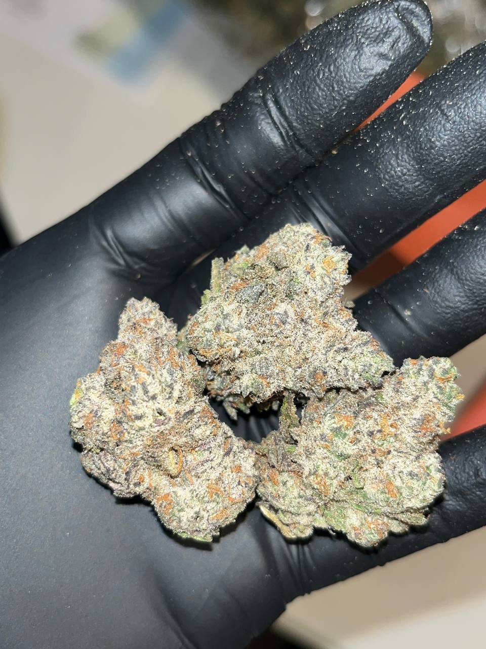 "Experience Luxury with Oreo Blizzard THCA EXOTICS: Indulgent Blend & 26-30% THC"