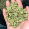 Permanent Marker THCa Smalls