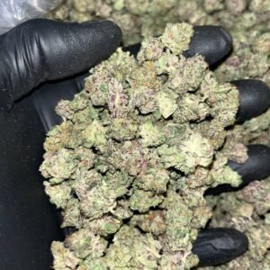 Our Exotic THCa Smalls contain 28 to 35% THCa, rare terpenes, and limited availability. Start wholesale bulk procurement. Purchase now!