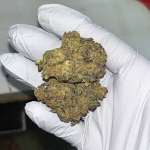 Jungle Driver THCA Flower