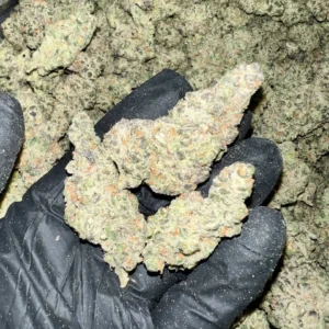 Obi Wan Exotic THCA Flower Wholesale