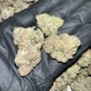 Bubble Gum Gelato THCa Flower - Closeup of High-THCa Cannabis Buds