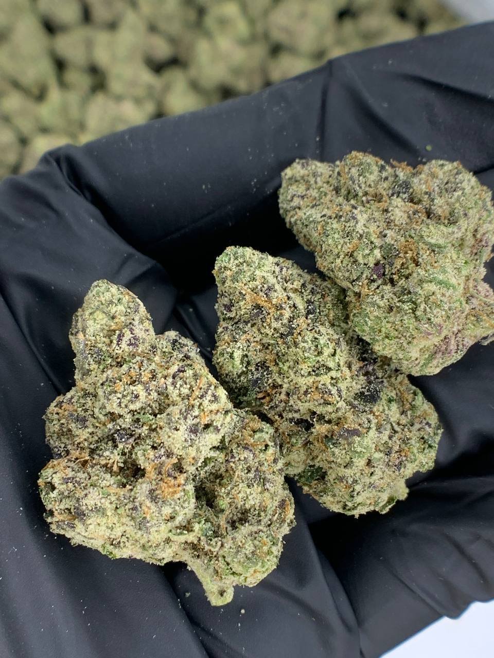 Bubble Gum Runtz THCa