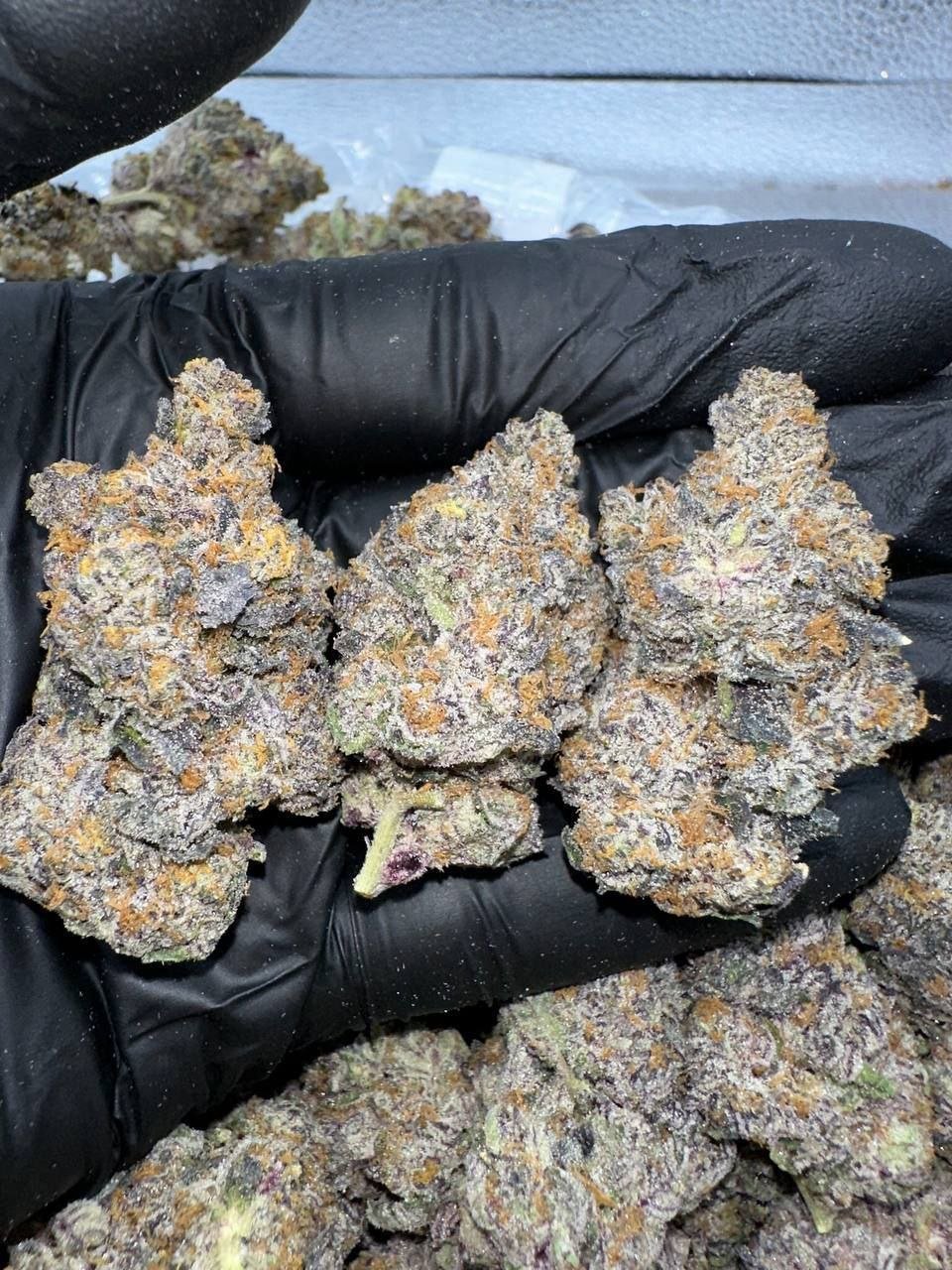 Candy Rain THCa