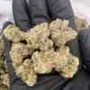 Cherry Runtz THCa