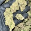 Donny Burger THCA Flower Bulk Wholesale