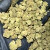 Get Gelato Cake THCa Flower in bulk. Premium quality, Oregon-grown, and third-party tested for wholesale purchases.
