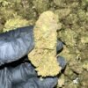 Wedding Drop THCa Flower in bulk packaging for wholesale