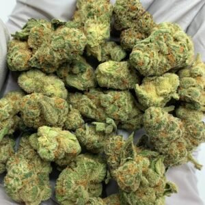 Glitter Bomb Exotic THCa Flower Wholesale