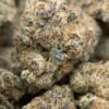 Amaretto Exotic THCa Flower with dense, frosty buds and a sweet, nutty aroma