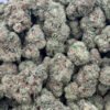 Fruity Pebbles HHC Flower - Wholesale HHC Buds - High-Quality Cannabis