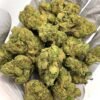 Gelato 41 THCa Flower for Bulk Wholesale
