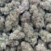 Girl Scout Cookies HHC Flower - Wholesale HHC Buds - High-Quality Cannabis