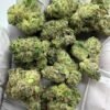 Gorilla Glue #4 THCa Flower - Potent Hybrid Cannabis Strain for Bulk Orders