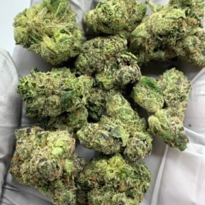 Gorilla Glue #4 THCa Flower - Potent Hybrid Cannabis Strain for Bulk Orders