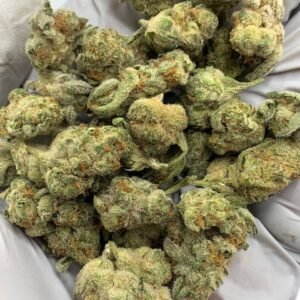 Grapes and Cream THCa Flower buds on a white background, showcasing dense, purple-hued nugs with a sweet, fruity aroma