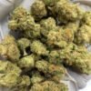 Honey Buns Exotic THCa Flower