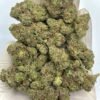 Rainbow Push Pop THCA Flower - Sweet, Colorful Hybrid for Wholesale Buyers