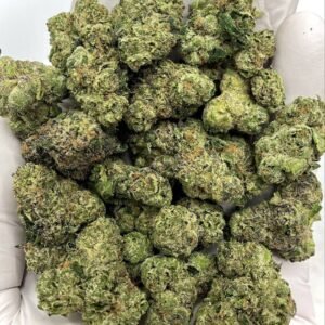 Bulk Spooky Runtz THCA Flower with over 30% THCA, compliant THC content for wholesale