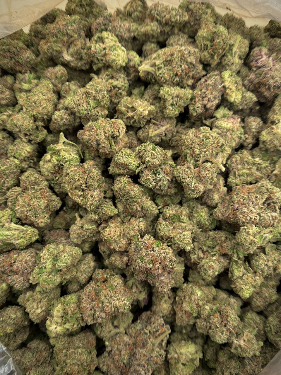 Girl Crush THCA Flower premium bulk flower for wholesale