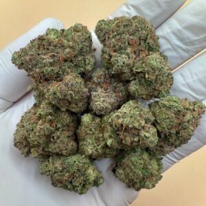 Girl Crush THCA Flower – premium bulk flower for wholesale