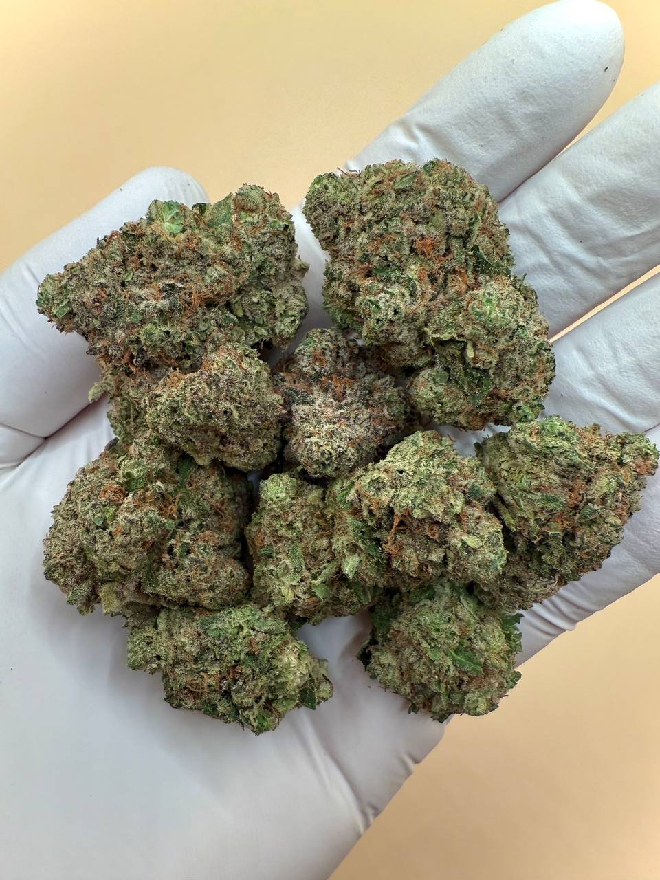 Girl Crush THCA Flower 1 Girl Crush THCA Flower – premium bulk flower for wholesale