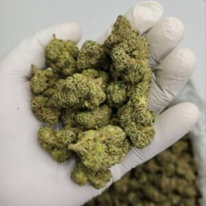 Popeye Runtz THCA Flower – premium bulk flower for wholesale